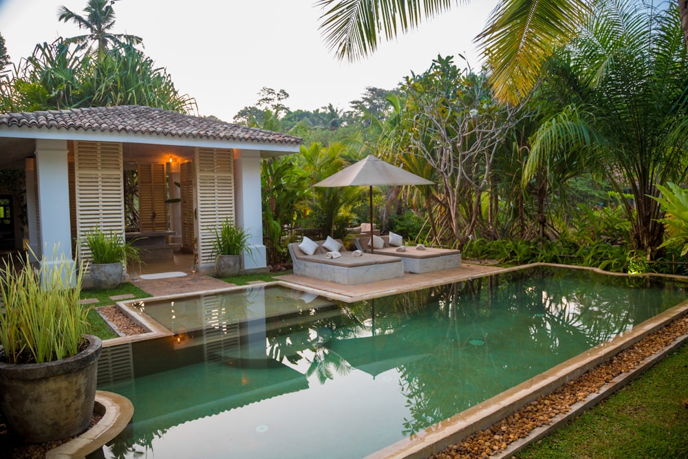 Tropical Bali villa swimming pool framed by palm trees